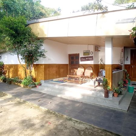 Munnar Home Stay Teadrops Plantation Villa Zewnętrze zdjęcie