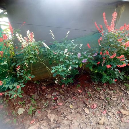 Munnar Home Stay Teadrops Plantation Villa Zewnętrze zdjęcie
