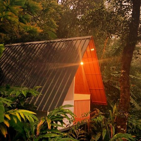Munnar Home Stay Teadrops Plantation Villa Zewnętrze zdjęcie