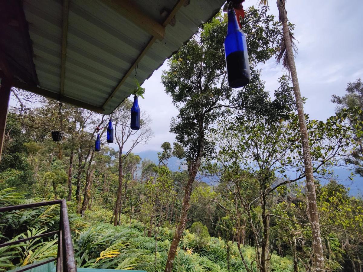Munnar Home Stay Teadrops Plantation Villa Zewnętrze zdjęcie