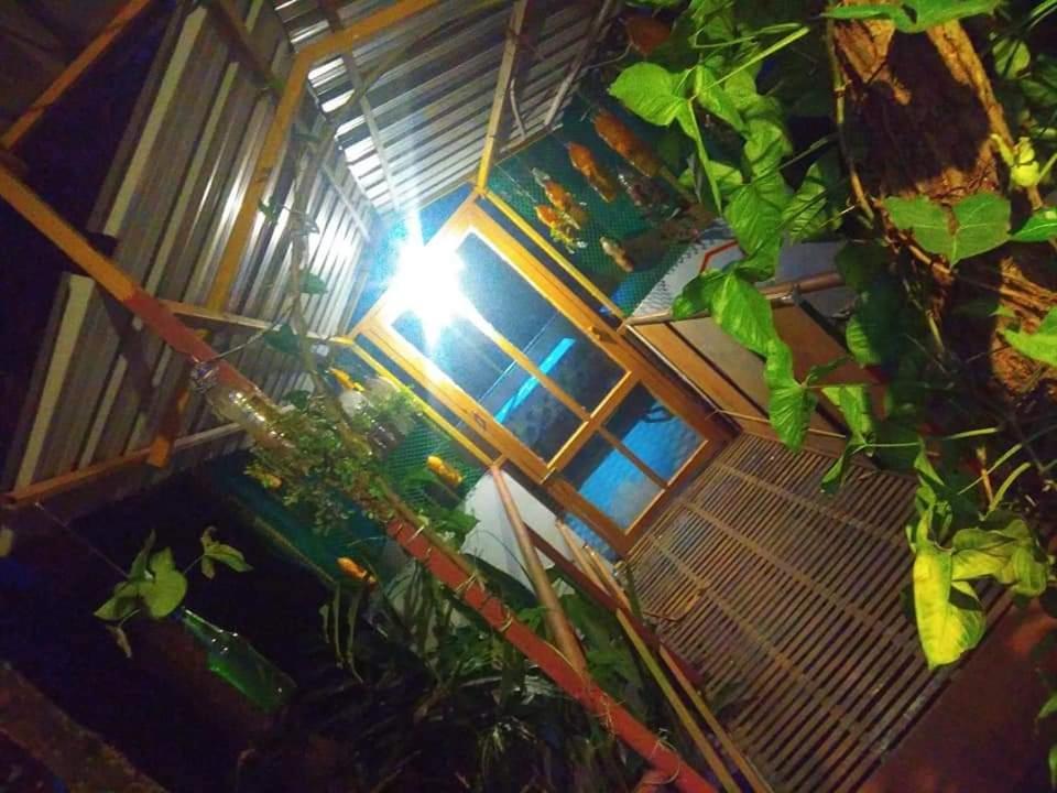 Munnar Home Stay Teadrops Plantation Villa Zewnętrze zdjęcie