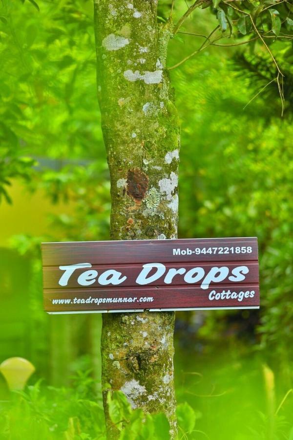 Munnar Home Stay Teadrops Plantation Villa Zewnętrze zdjęcie