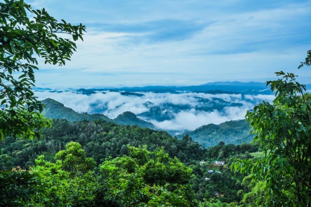 Munnar Home Stay Teadrops Plantation Villa Zewnętrze zdjęcie