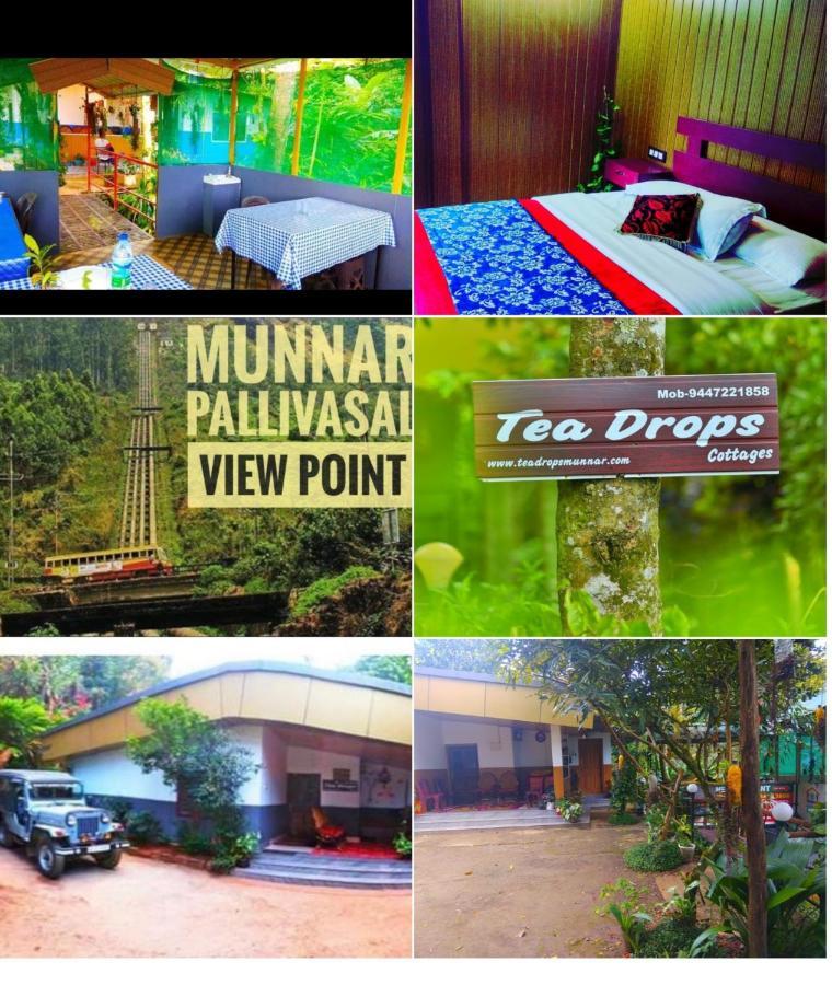 Munnar Home Stay Teadrops Plantation Villa Zewnętrze zdjęcie