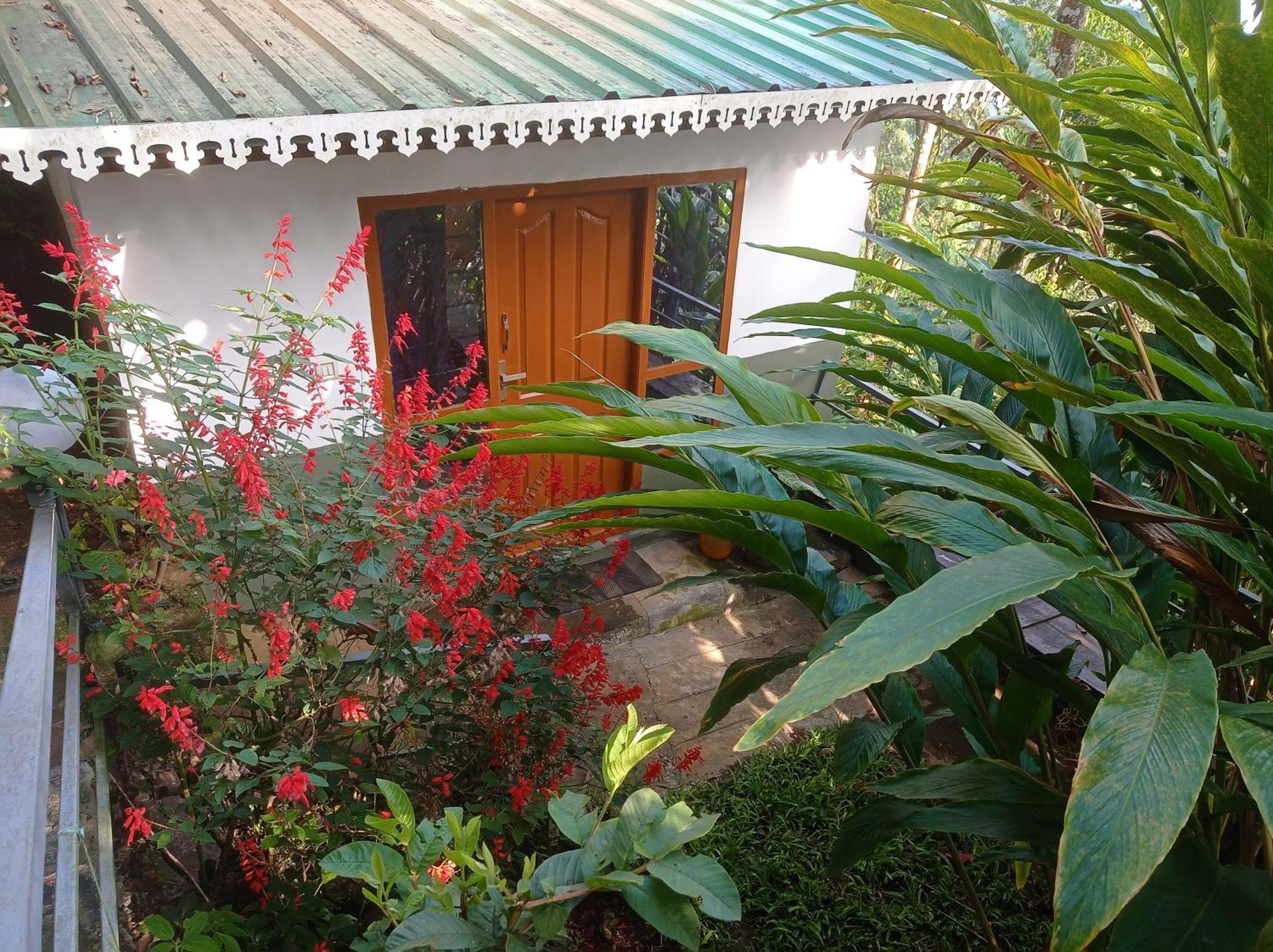 Munnar Home Stay Teadrops Plantation Villa Zewnętrze zdjęcie