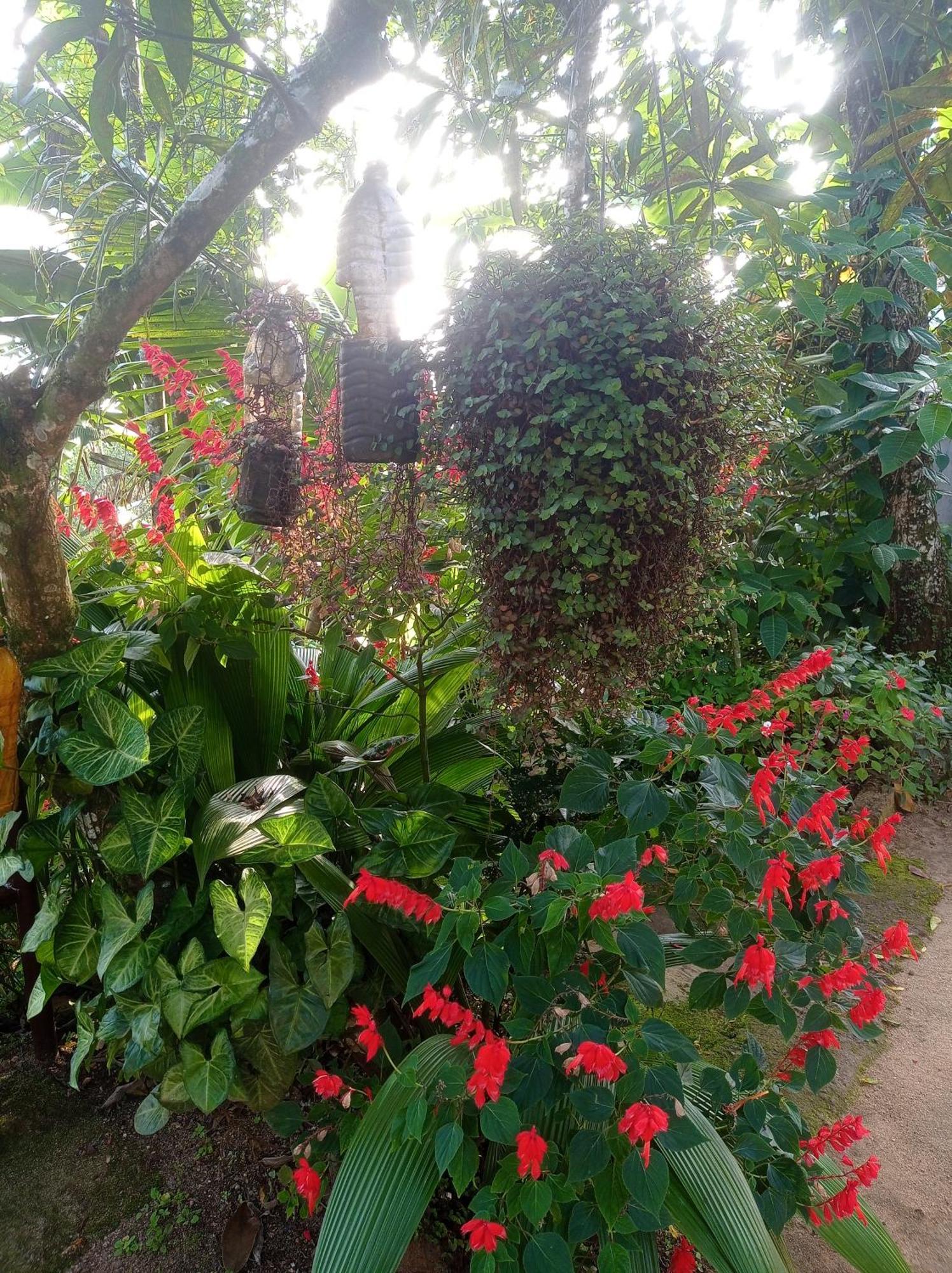 Munnar Home Stay Teadrops Plantation Villa Zewnętrze zdjęcie