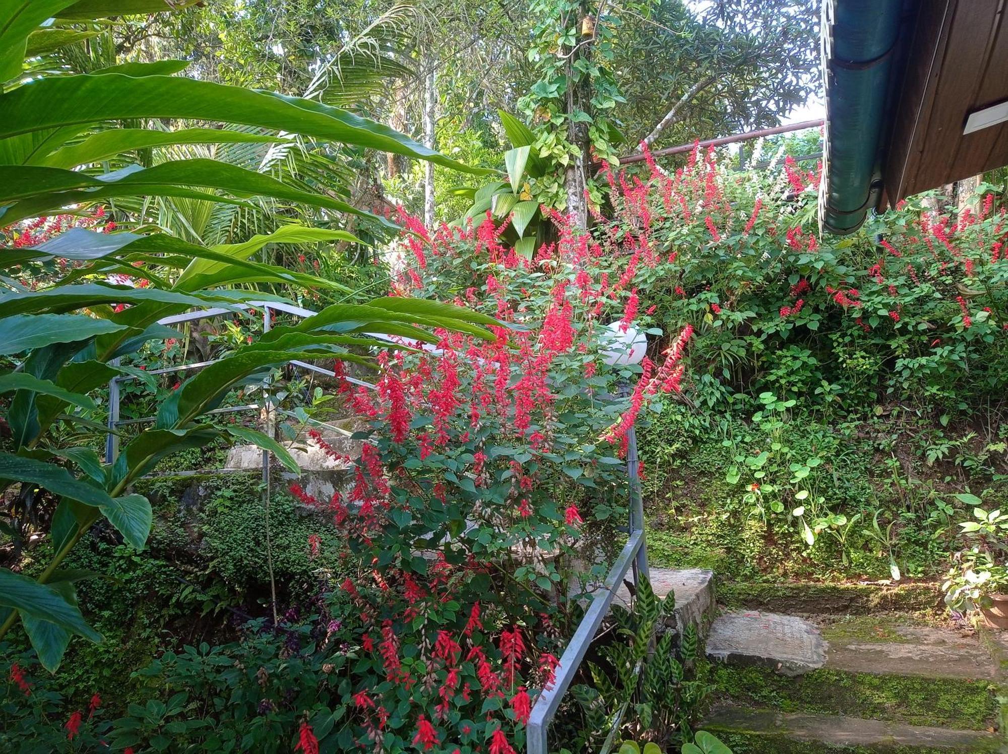 Munnar Home Stay Teadrops Plantation Villa Zewnętrze zdjęcie