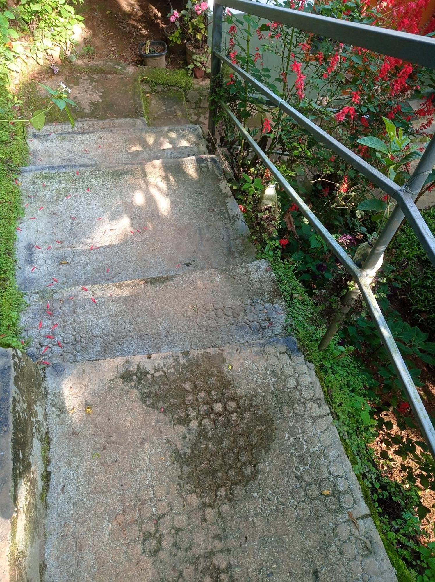 Munnar Home Stay Teadrops Plantation Villa Zewnętrze zdjęcie