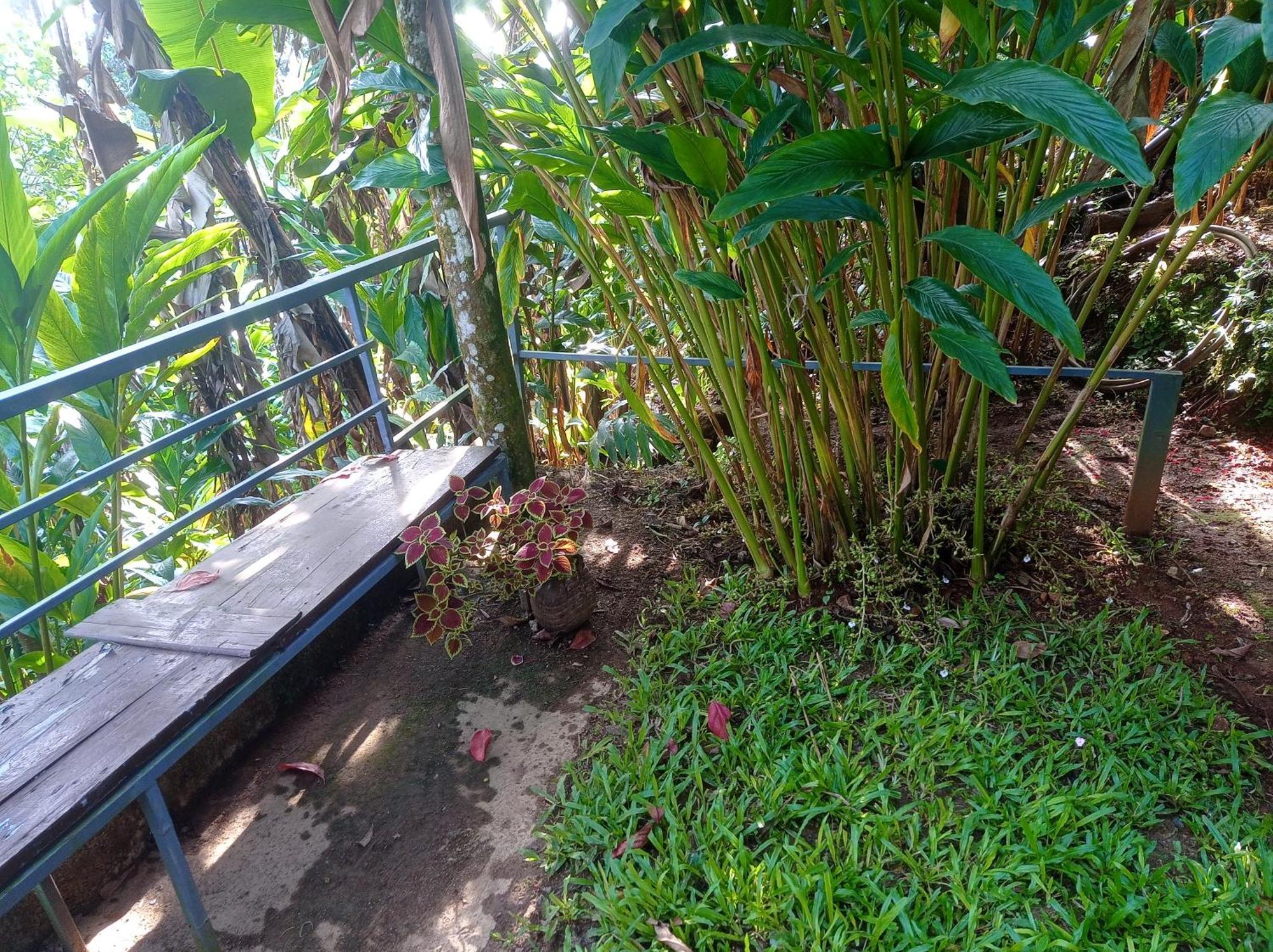 Munnar Home Stay Teadrops Plantation Villa Zewnętrze zdjęcie