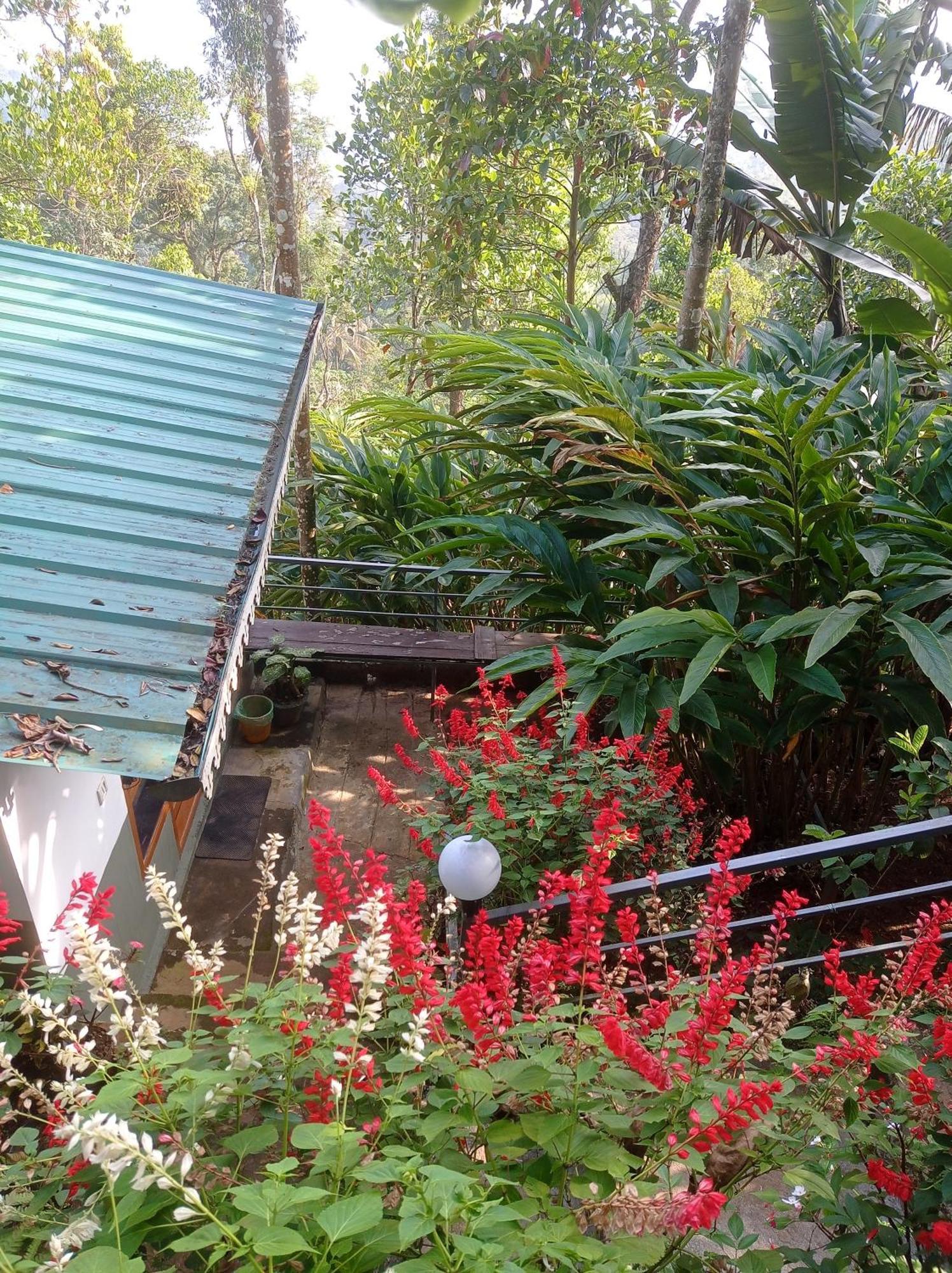 Munnar Home Stay Teadrops Plantation Villa Zewnętrze zdjęcie